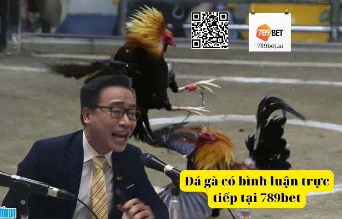 Đá gà có bình luận tại 789bet